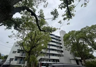 ポートアイランド坂戸【7階】の外観