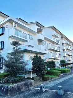 杉戸高野台ベリアス西六番街12号棟【2階】の外観