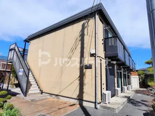 アムール エチゴの画像