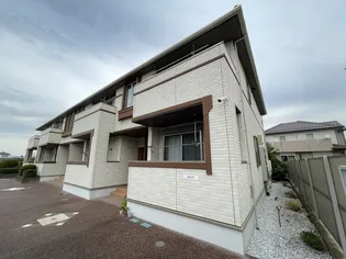 カメリアの画像