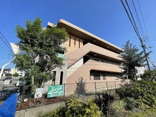 マリベールシラキの画像