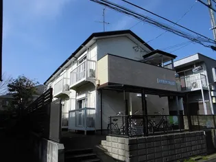 ステラフレンズの画像