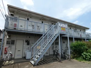 アルファの画像