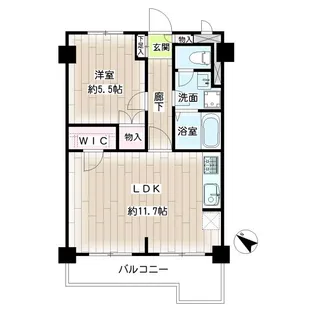 グレイス綱島第2【4階】の間取り