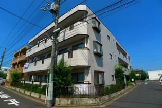 ソレーヌの画像