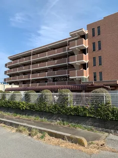 リュウ壱番館の画像