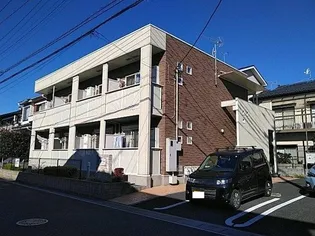 パレス アツームの画像
