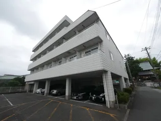 ロイヤルカーサ海老名の画像