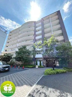 グリシーヌの画像