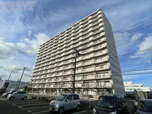 ベルフラワー八軒マンションの画像