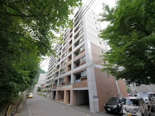 パークアベニュー南円山の画像