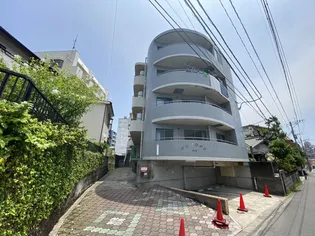 ダルメシアン下竜尾の画像
