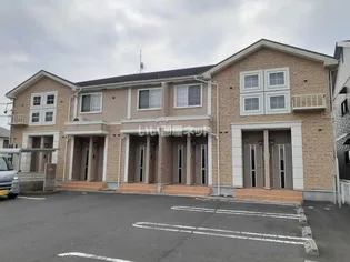 プレアデスの画像