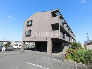 シャルムマスダIIIの画像