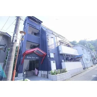 ハーベイカッツハイムの画像