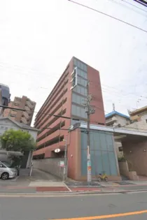 エクセレント上新12の画像