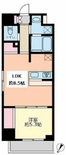 ドゥーエ浅草橋II【6階】の間取り