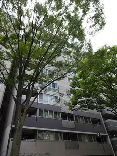 エスリード烏丸御池の画像