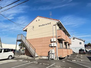 キャッスルハイツC【1階】の外観