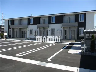 カレント ヒガシウズラB Ⅰの画像