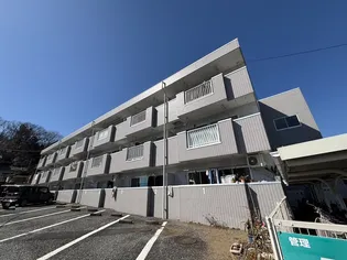 センチュリージャミーラの画像