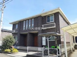 スプリング ワンBの画像