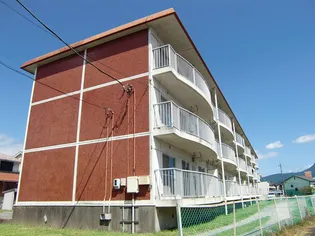 新屋敷ハイツの画像