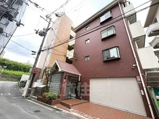 サンシャーリーの画像
