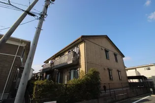 アザレアコートアミカ Cの画像