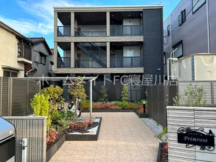 プリムローズの画像