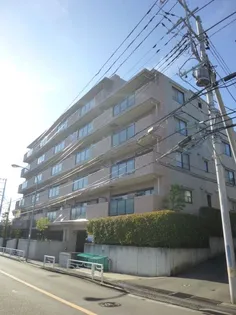 ラ カージュ横濱の画像