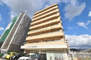 アネシスデュオの画像