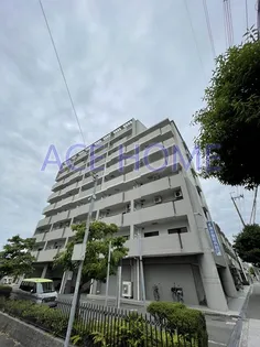 フルラーレの画像