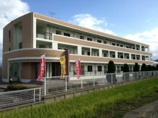 サンフラワーK Tの画像