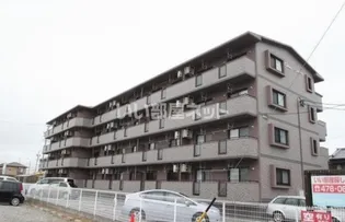 CIAOバンビーナの画像