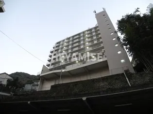 レイシーズ カネガエの画像