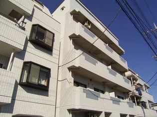 シャイン志澤の画像