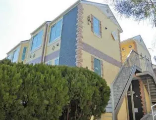 戸部チェルシーの画像