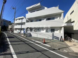 ジェミニ桜の画像