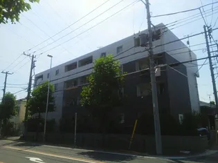 サザンウインドの画像