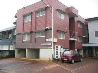 シルクロード藍の画像