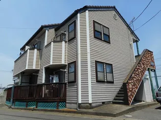 コットントゥリーの画像