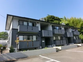 ハイカムールの画像