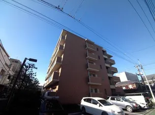 ケイティーズ クリアの画像