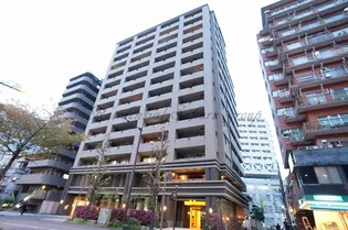 ナイス エス アリーナ川崎駅前通の画像