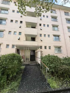 柏町団地の画像