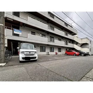 ライト クローバーの画像