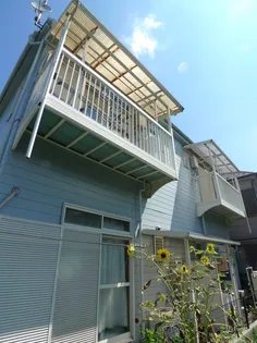 エーデルワイスの画像