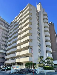 レピドール福田IIの画像