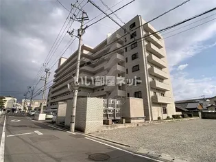 マリオン城乾の画像